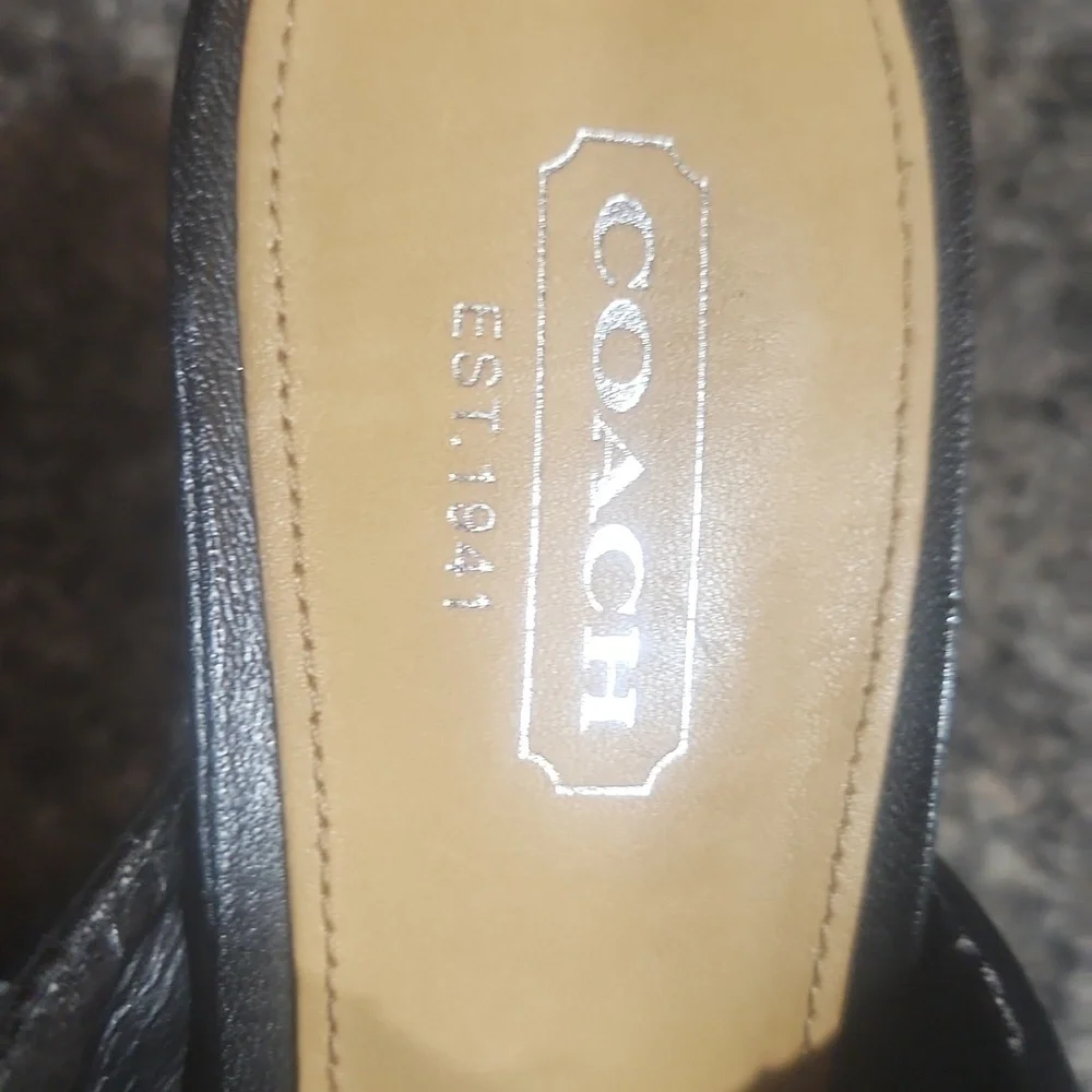 Coach Shasha studded mule size 5.5 black EUC
